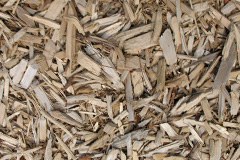 biomass boilers Herodsfoot